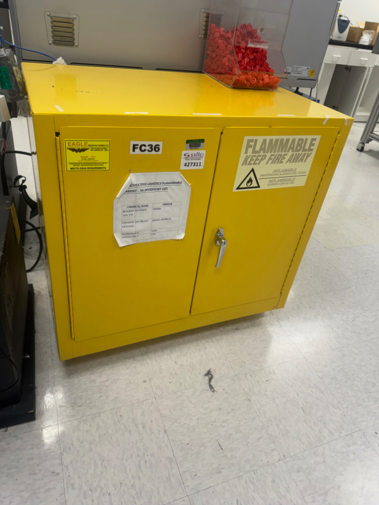 Image of Eagle 22 Gallon Flammable Liquid Storage Cabinet